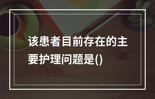 该患者目前存在的主要护理问题是()