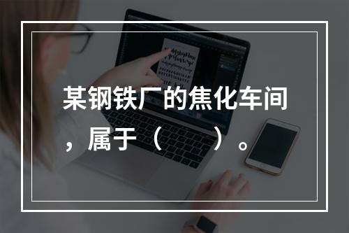 某钢铁厂的焦化车间，属于（　　）。