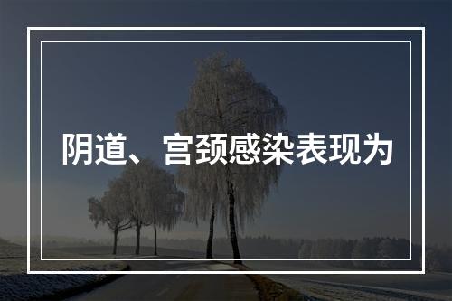 阴道、宫颈感染表现为