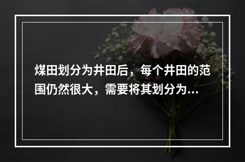 煤田划分为井田后，每个井田的范围仍然很大，需要将其划分为若干