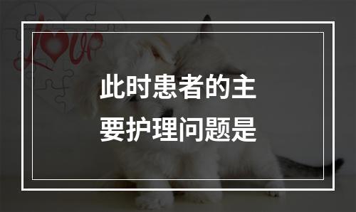 此时患者的主要护理问题是