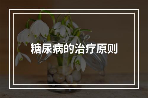 糖尿病的治疗原则