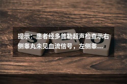 提示：患者经多普勒超声检查示右侧睾丸未见血流信号，左侧睾丸血