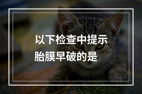 以下检查中提示胎膜早破的是