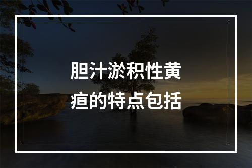 胆汁淤积性黄疸的特点包括