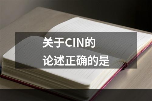 关于CIN的论述正确的是