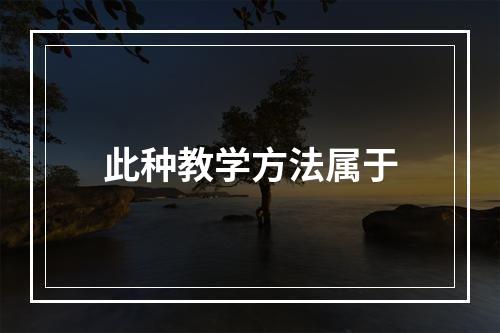 此种教学方法属于