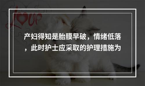 产妇得知是胎膜早破，情绪低落，此时护士应采取的护理措施为