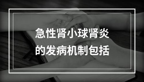 急性肾小球肾炎的发病机制包括