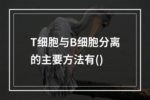 T细胞与B细胞分离的主要方法有()