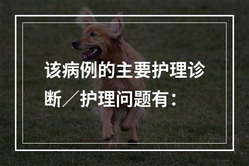 该病例的主要护理诊断／护理问题有：