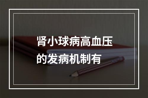 肾小球病高血压的发病机制有