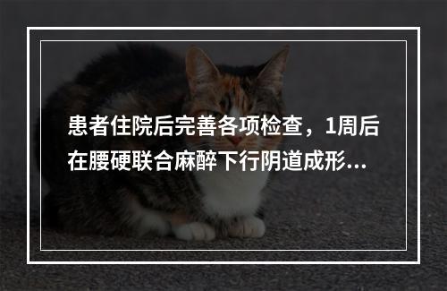 患者住院后完善各项检查，1周后在腰硬联合麻醉下行阴道成形术。