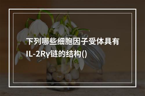 下列哪些细胞因子受体具有IL-2Rγ链的结构()