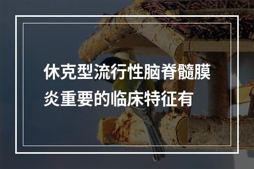 休克型流行性脑脊髓膜炎重要的临床特征有