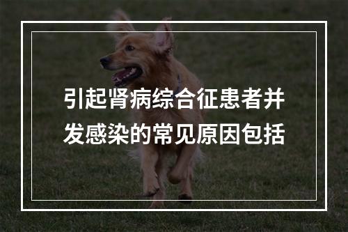 引起肾病综合征患者并发感染的常见原因包括