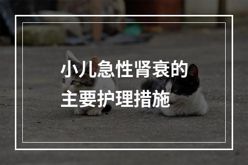 小儿急性肾衰的主要护理措施