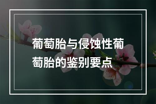 葡萄胎与侵蚀性葡萄胎的鉴别要点