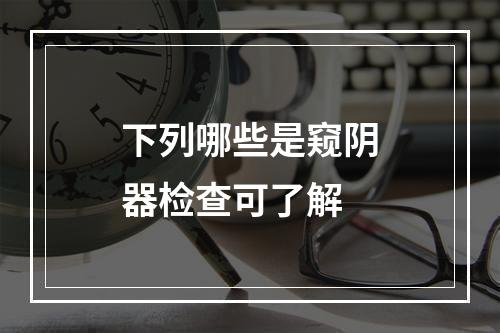 下列哪些是窥阴器检查可了解