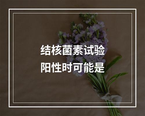 结核菌素试验阳性时可能是