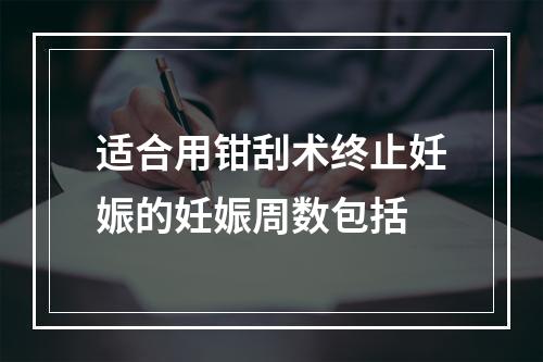 适合用钳刮术终止妊娠的妊娠周数包括