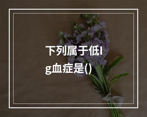 下列属于低Ig血症是()