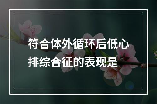 符合体外循环后低心排综合征的表现是