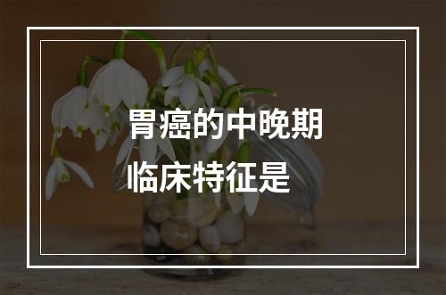 胃癌的中晚期临床特征是