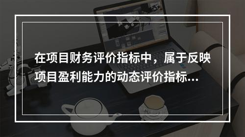 在项目财务评价指标中，属于反映项目盈利能力的动态评价指标的