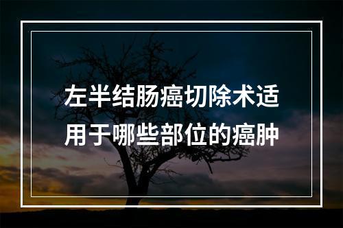 左半结肠癌切除术适用于哪些部位的癌肿