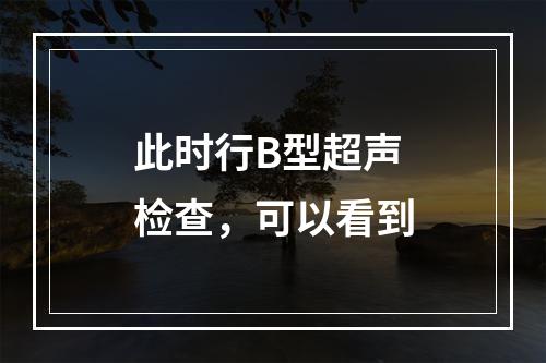 此时行B型超声检查，可以看到