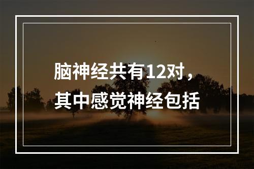 脑神经共有12对，其中感觉神经包括