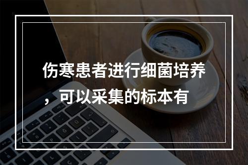 伤寒患者进行细菌培养，可以采集的标本有