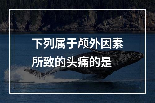 下列属于颅外因素所致的头痛的是