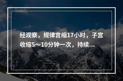 经观察，规律宫缩17小时，子宫收缩5～10分钟一次，持续30