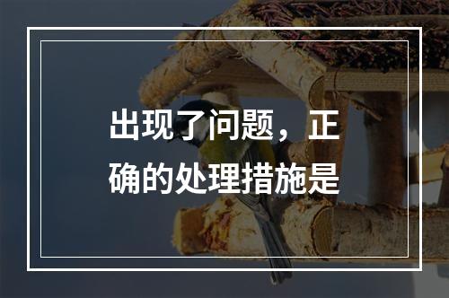 出现了问题，正确的处理措施是