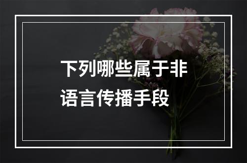 下列哪些属于非语言传播手段