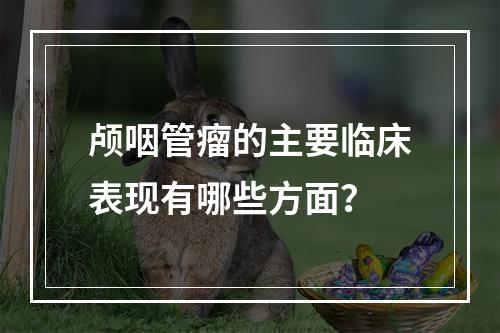 颅咽管瘤的主要临床表现有哪些方面？