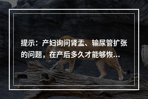 提示：产妇询问肾盂、输尿管扩张的问题，在产后多久才能够恢复，