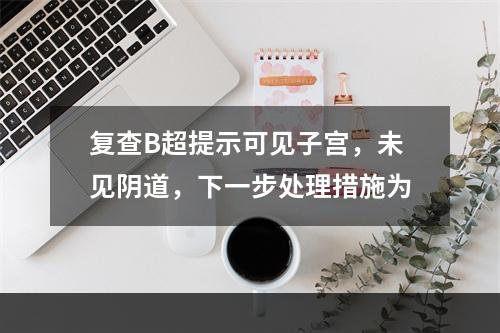 复查B超提示可见子宫，未见阴道，下一步处理措施为