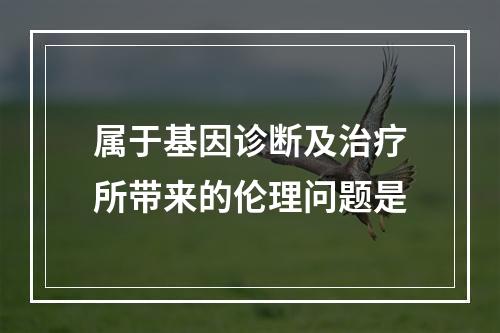 属于基因诊断及治疗所带来的伦理问题是