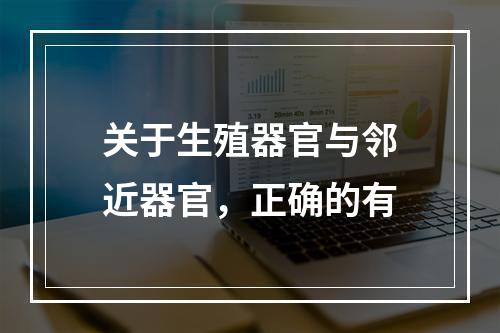 关于生殖器官与邻近器官，正确的有