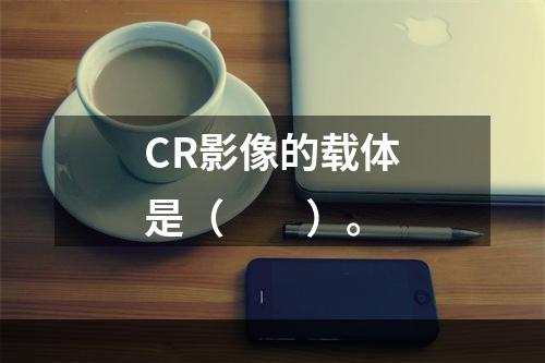 CR影像的载体是（　　）。