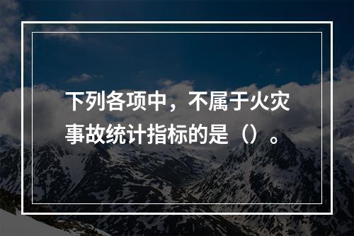 下列各项中，不属于火灾事故统计指标的是（）。