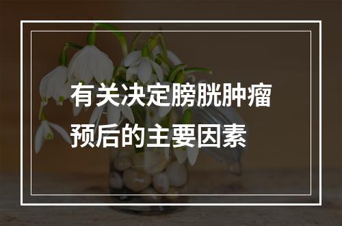 有关决定膀胱肿瘤预后的主要因素