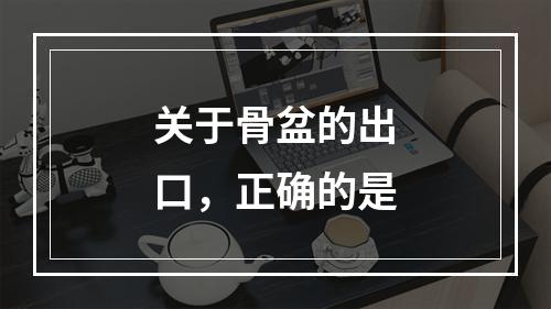 关于骨盆的出口，正确的是