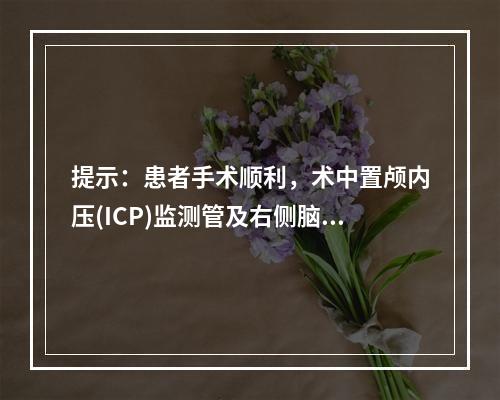 提示：患者手术顺利，术中置颅内压(ICP)监测管及右侧脑室外