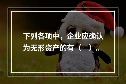 下列各项中，企业应确认为无形资产的有（　）。