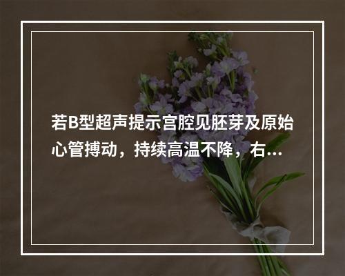 若B型超声提示宫腔见胚芽及原始心管搏动，持续高温不降，右下腹