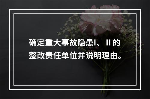 确定重大事故隐患I、Ⅱ的整改责任单位并说明理由。